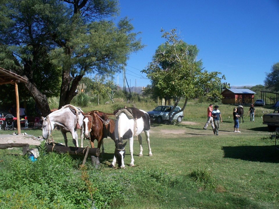 Posada El Algarrobo · 4