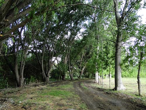 Complejo Turístico Del Parque · 4