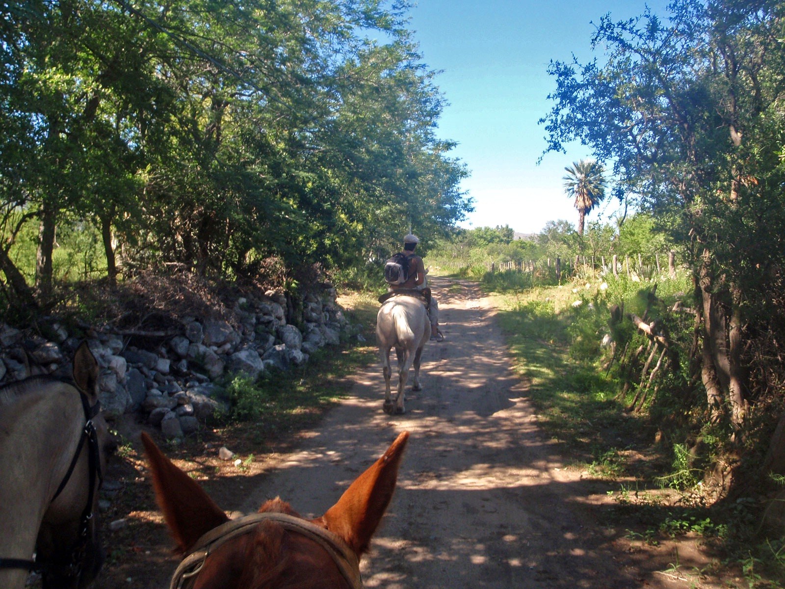 Cabalgatas · 2