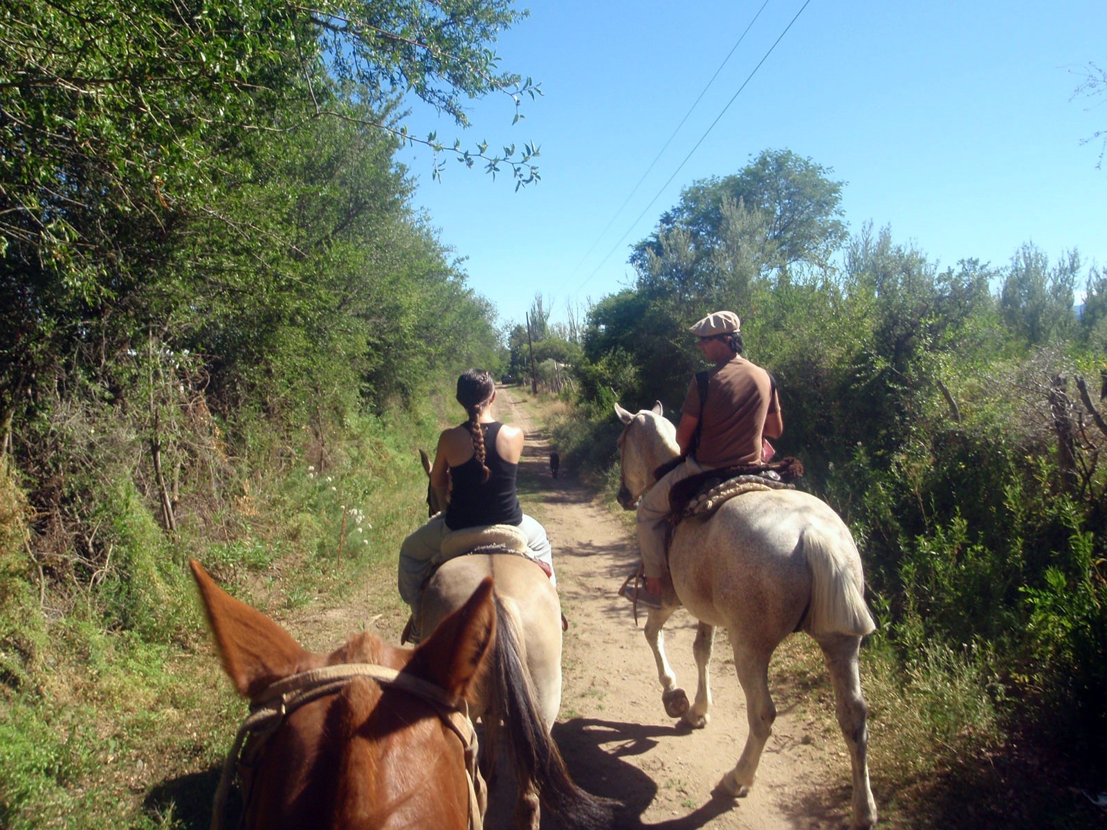 Cabalgatas · 3