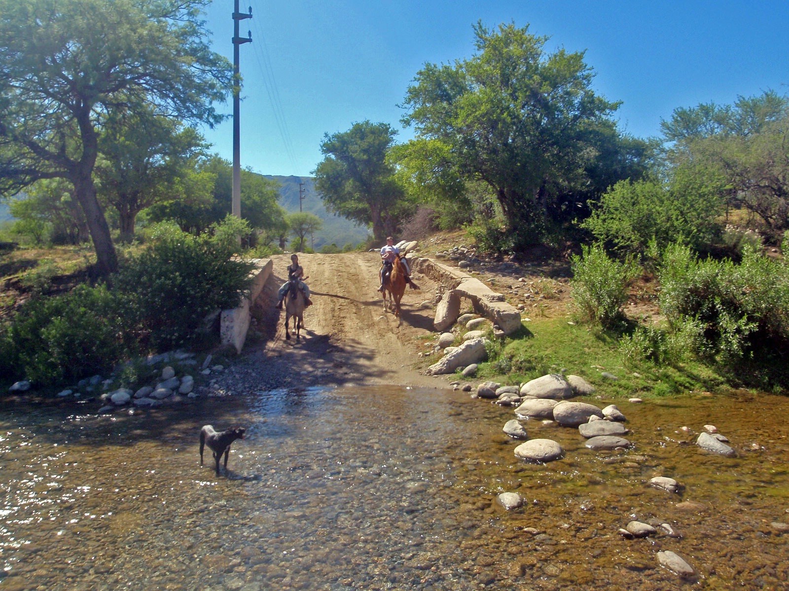 Cabalgatas · 4