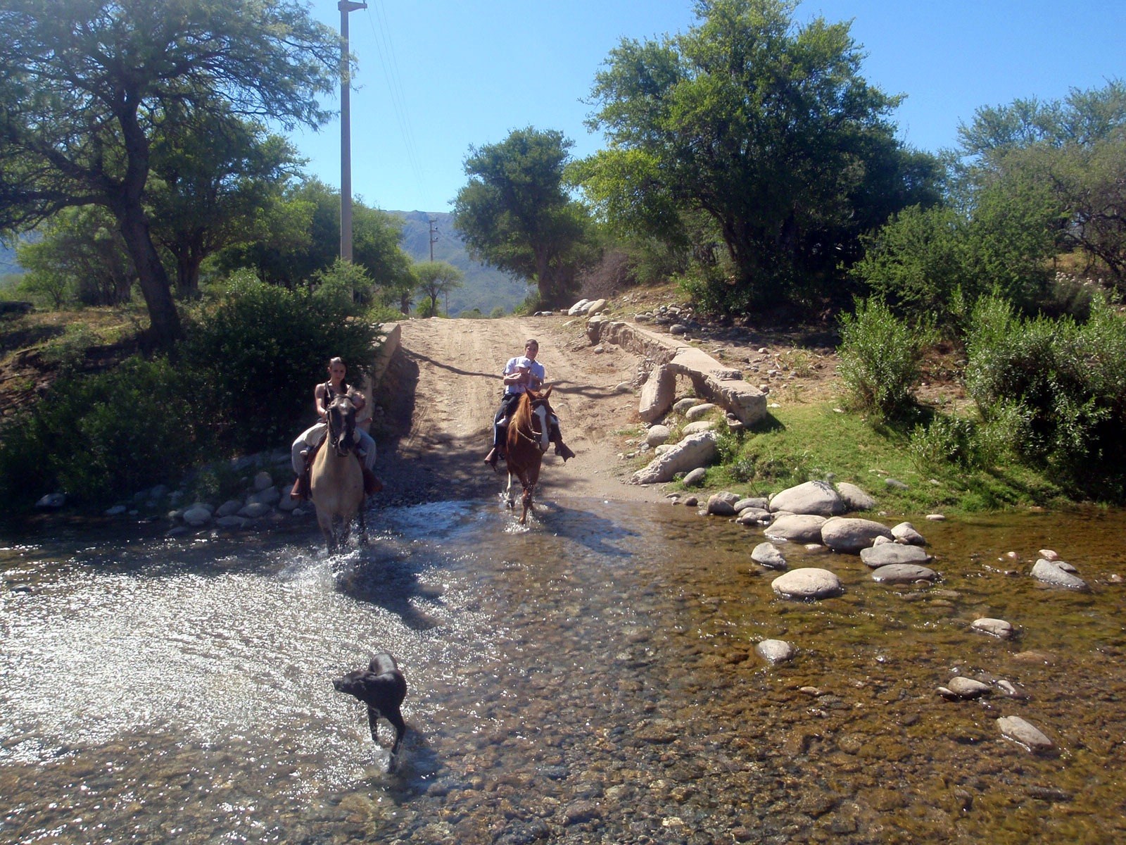 Cabalgatas · 5