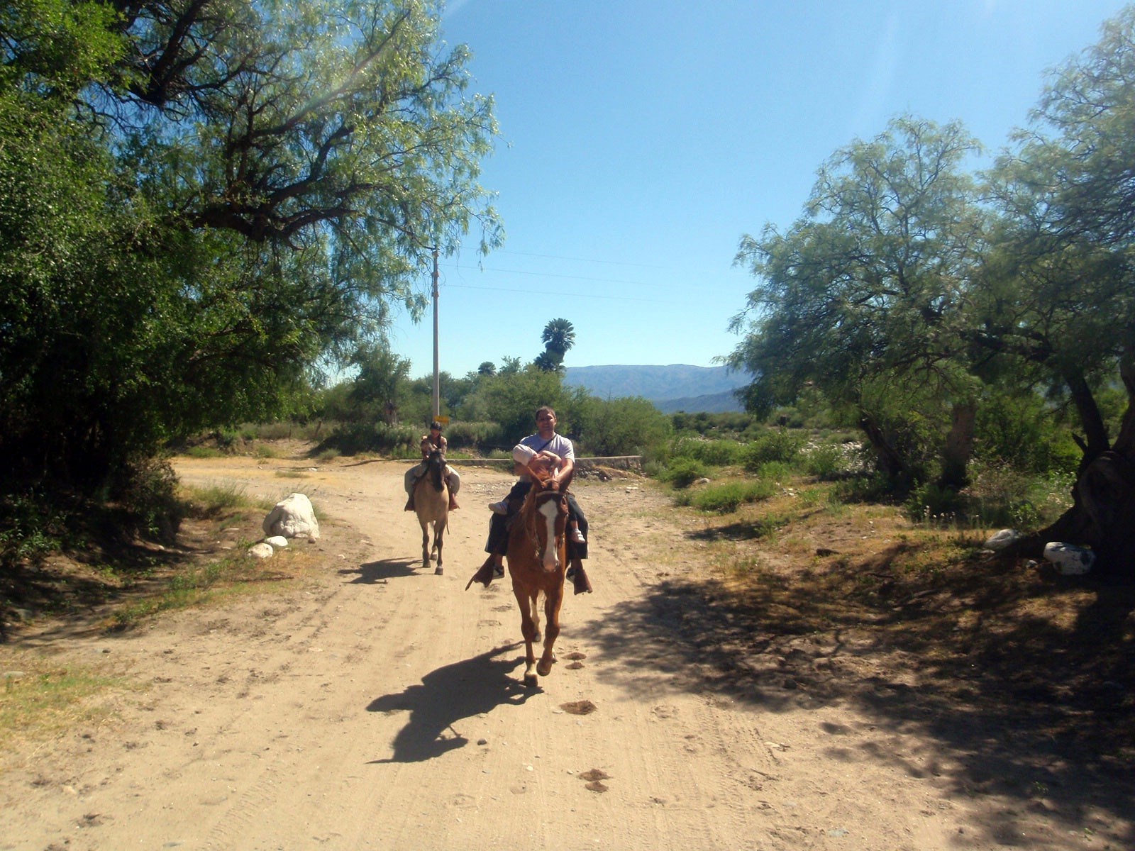 Cabalgatas · 6