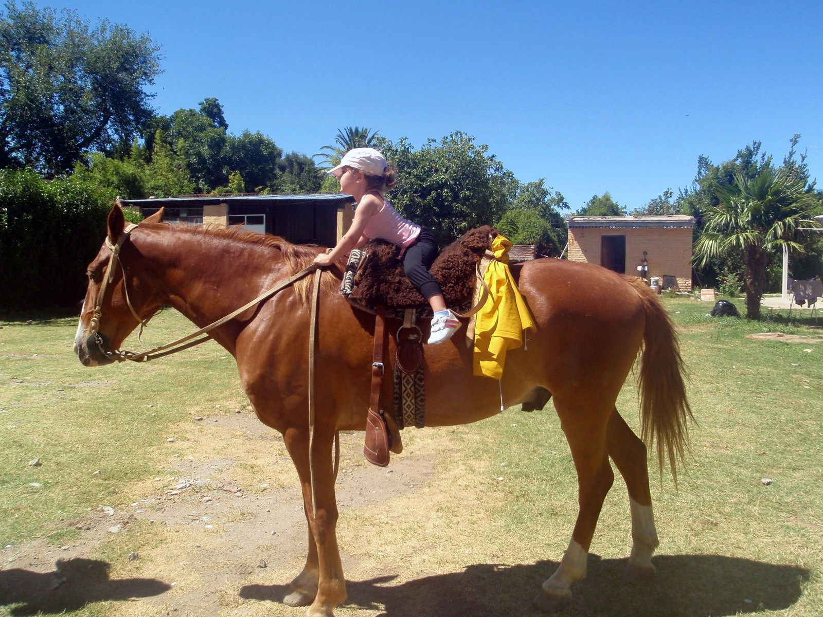 Cabalgatas · 9