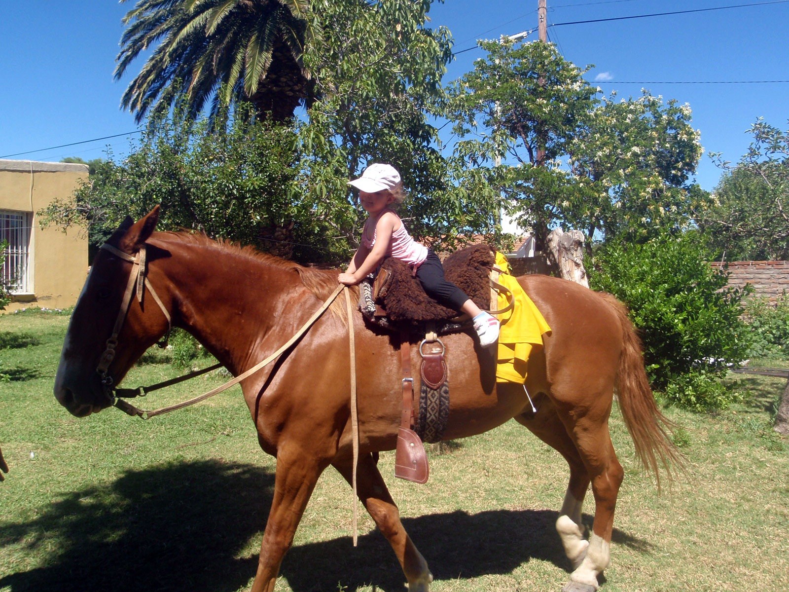 Cabalgatas · 10