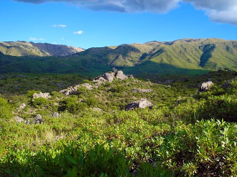 Campo de 10 hectáreas · fotografía 4