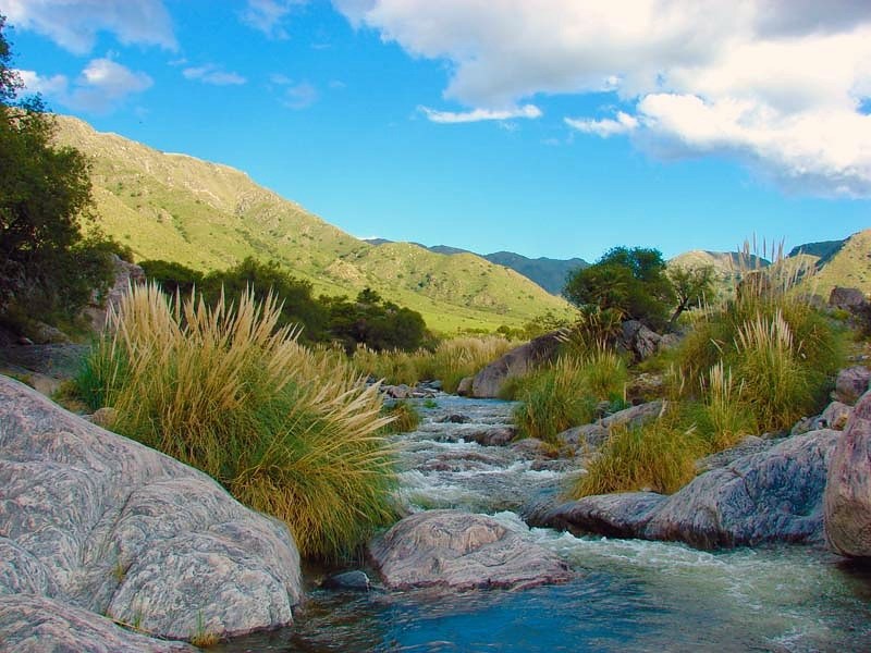 Campo de 10 hectáreas · fotografía 5