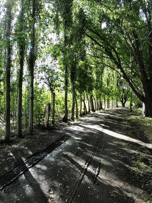 Complejo Turístico Del Parque · 3