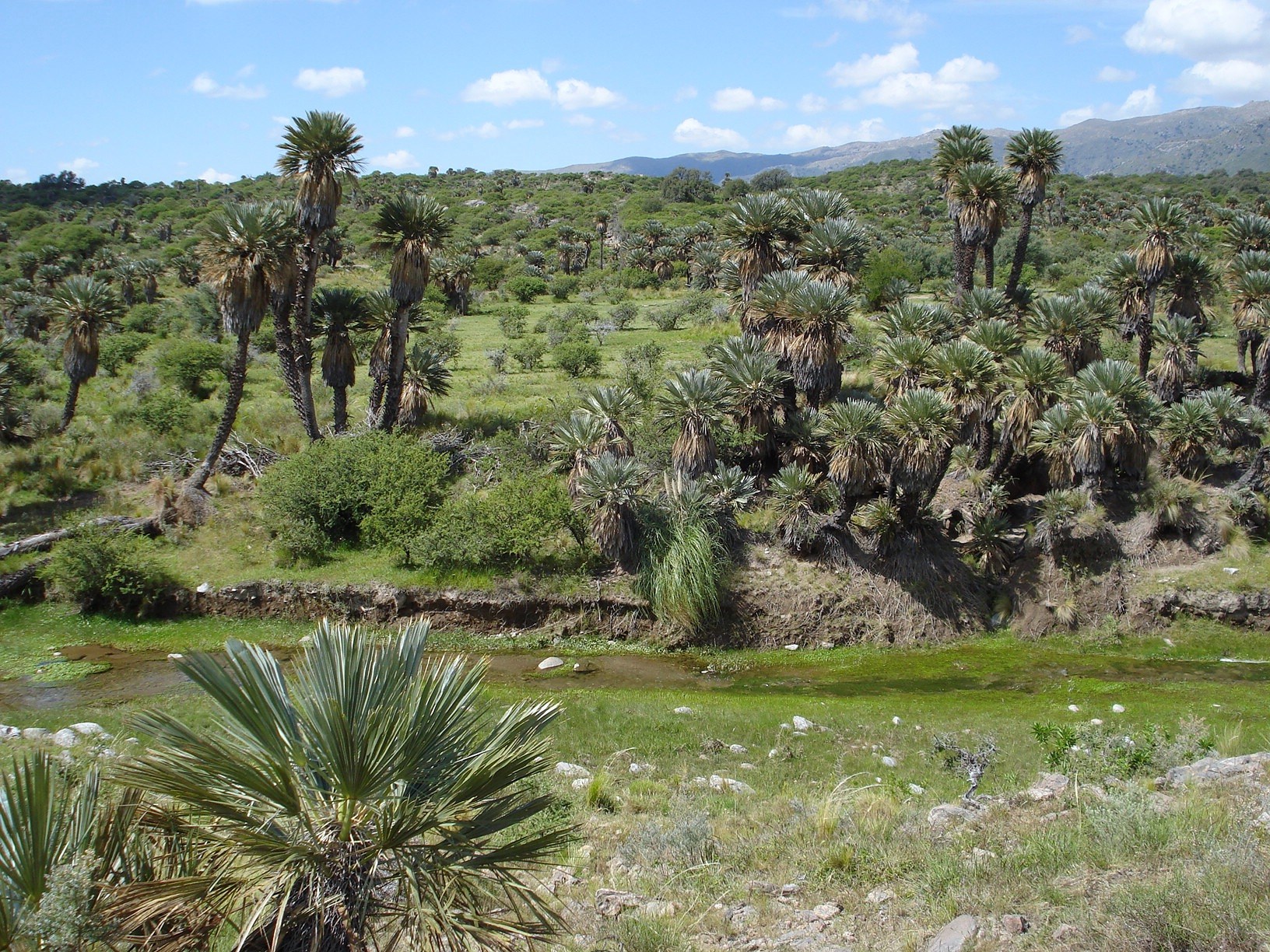 Río Socoscora