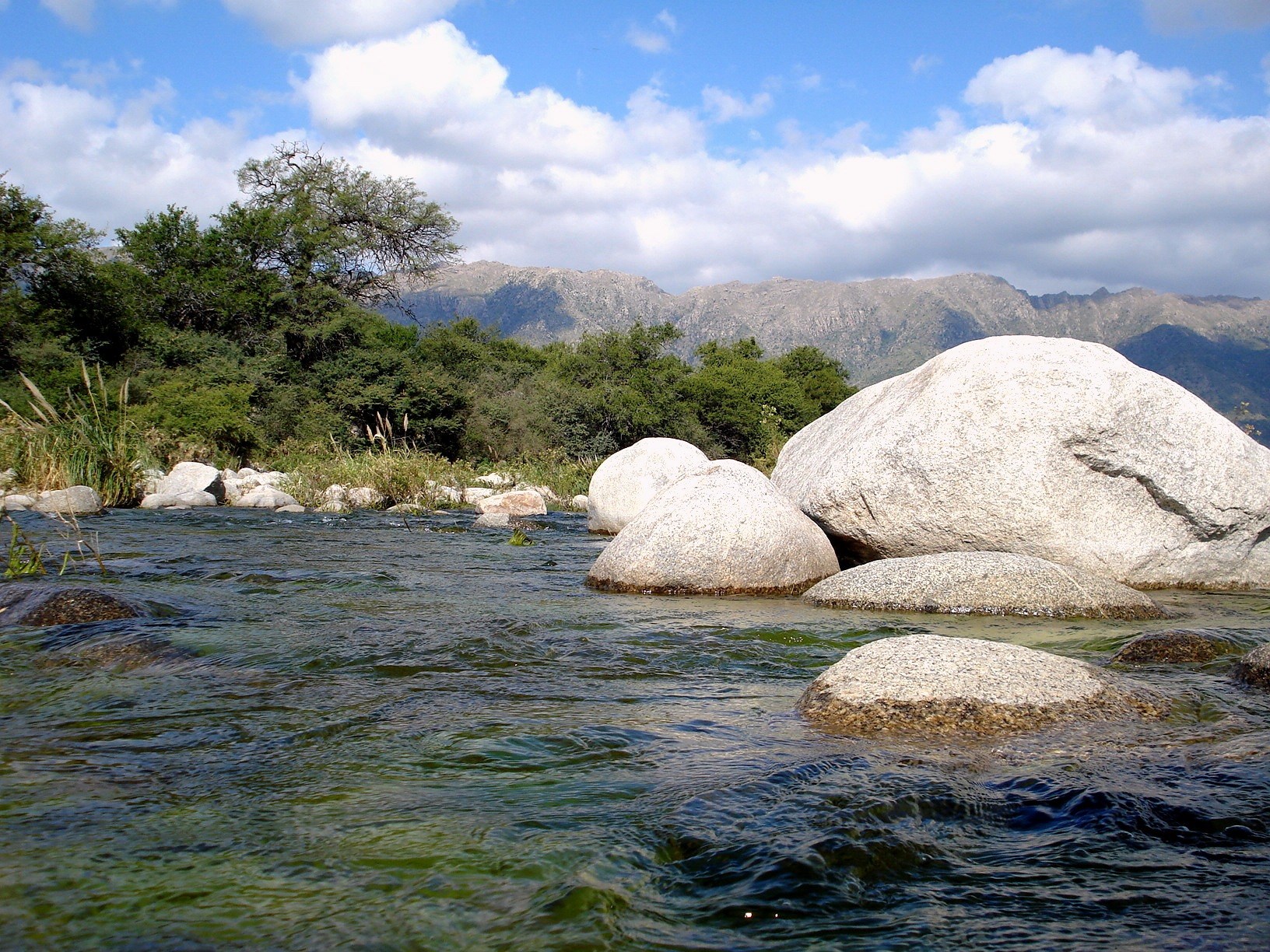 El Rincón y sus palmares · fotografía 3