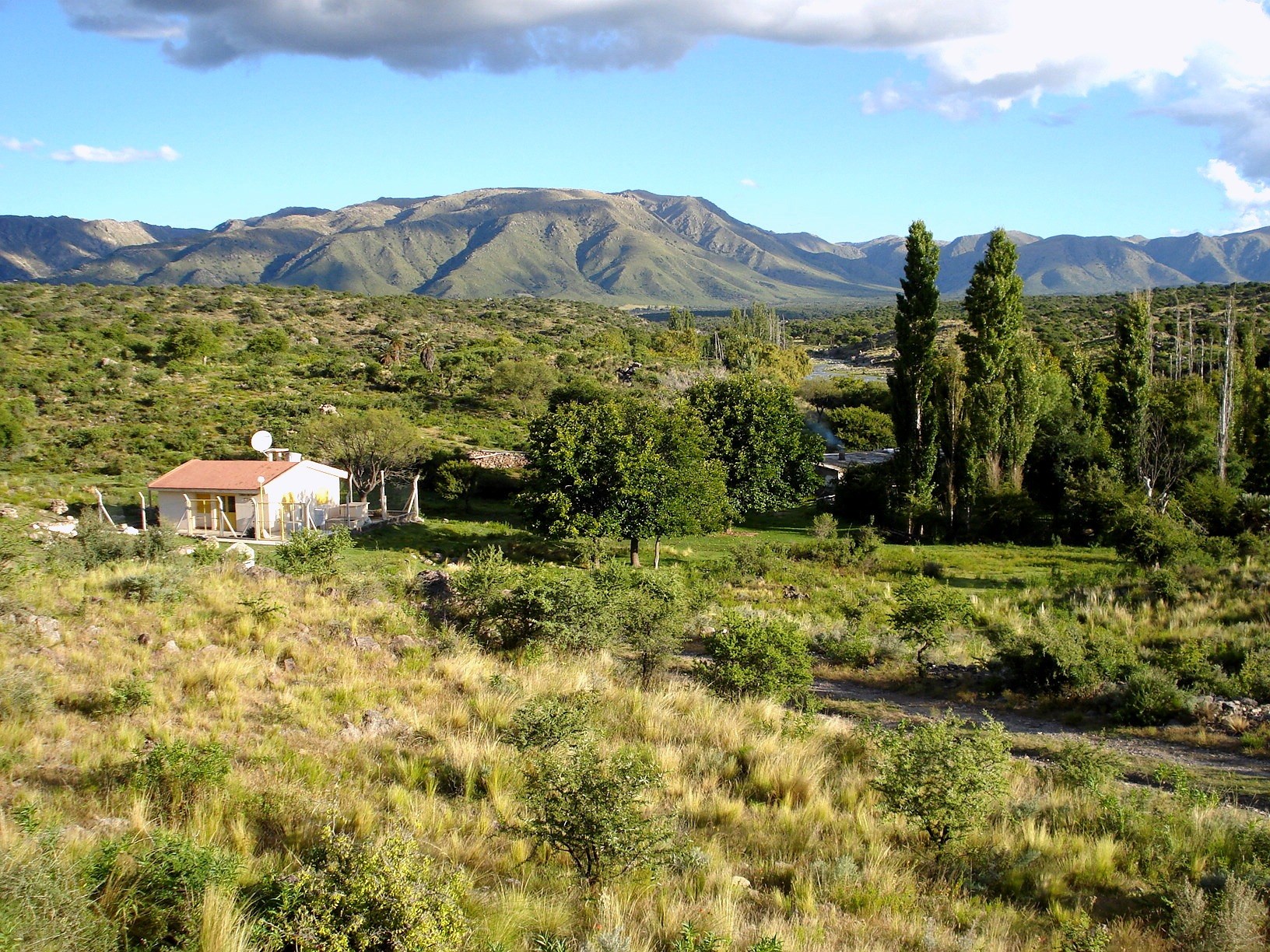 El Rincón y sus palmares · fotografía 4