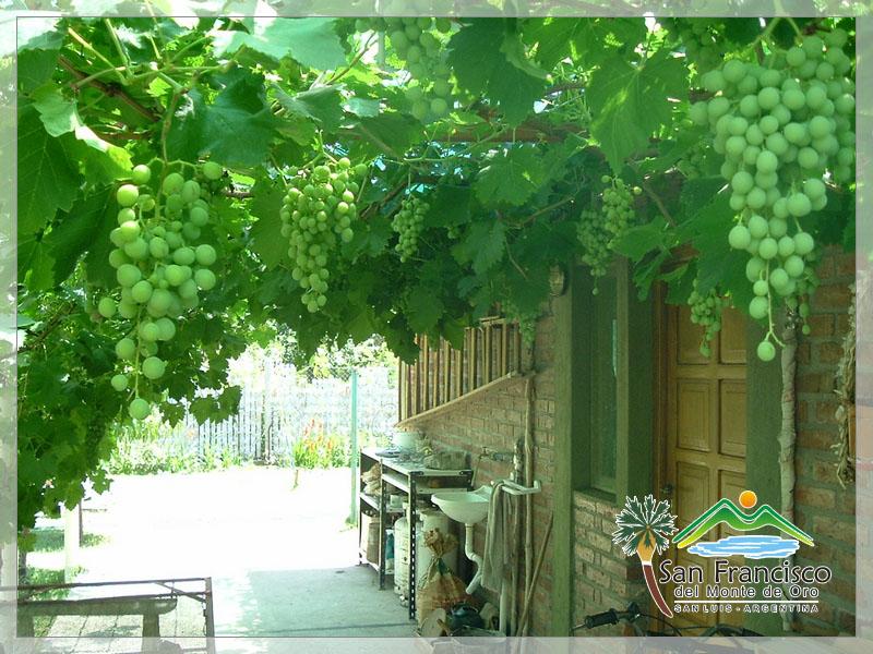 Chalet sobre terreno de 1800 m2 · 5