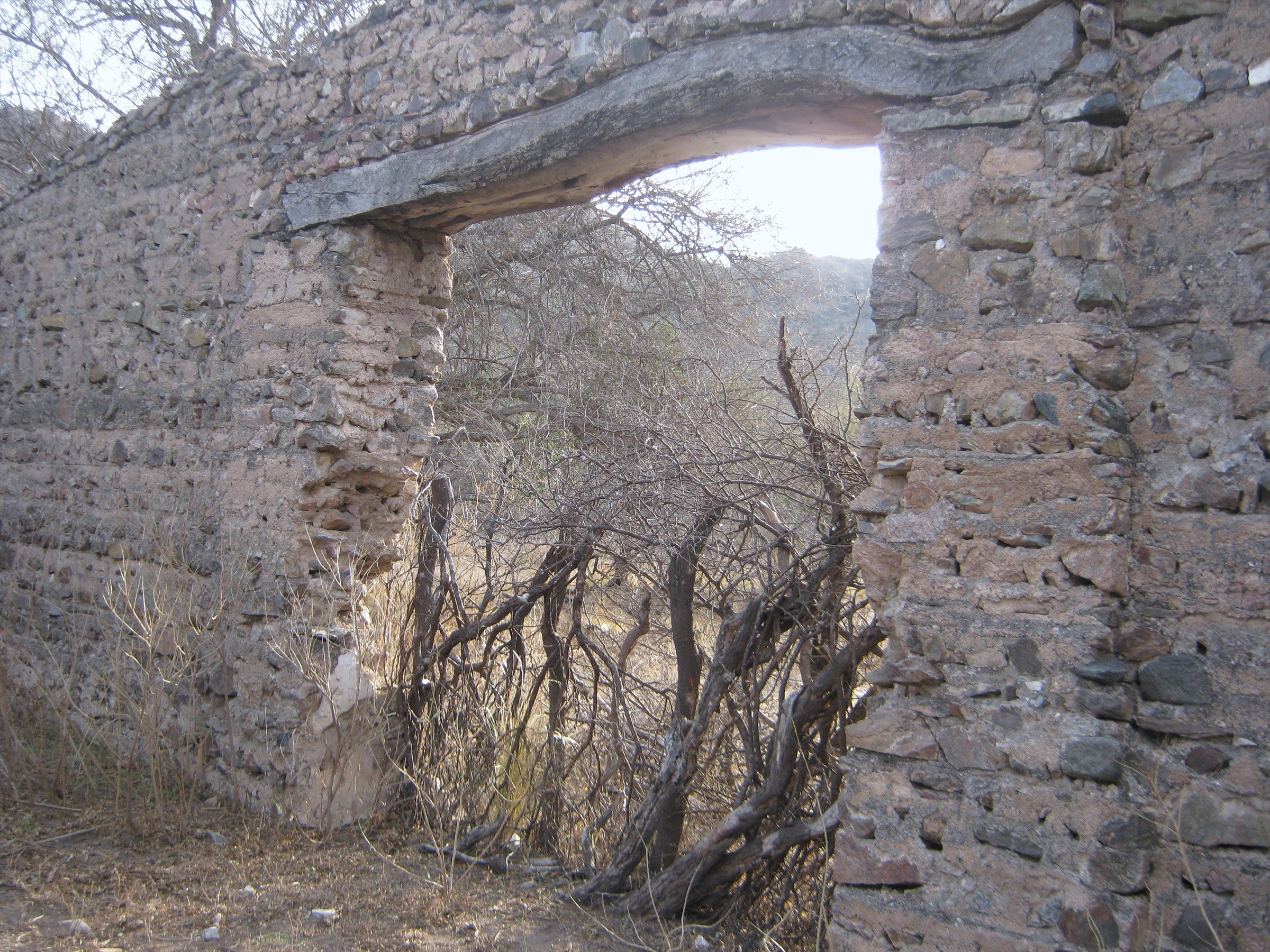 Mina De Cal El Vallecito · 8