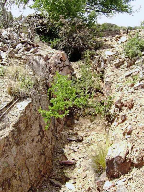 Mina De Oro El Rincon · 17