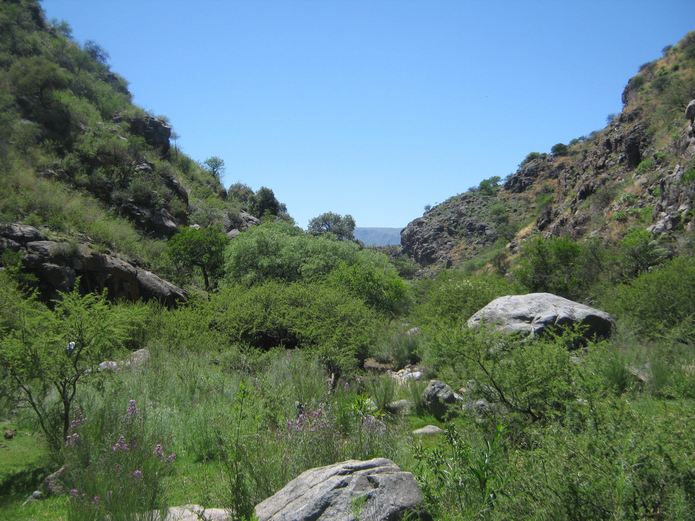 Mina Negra · 4