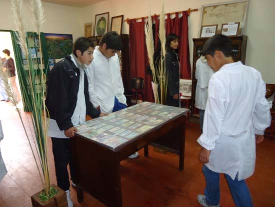 Muestra Monedas