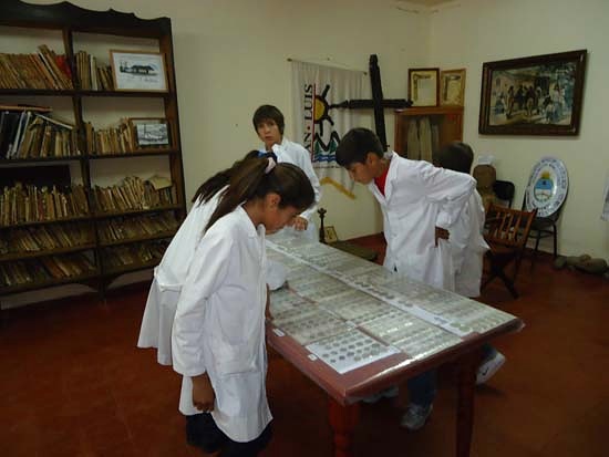 Muestra Monedas · 2