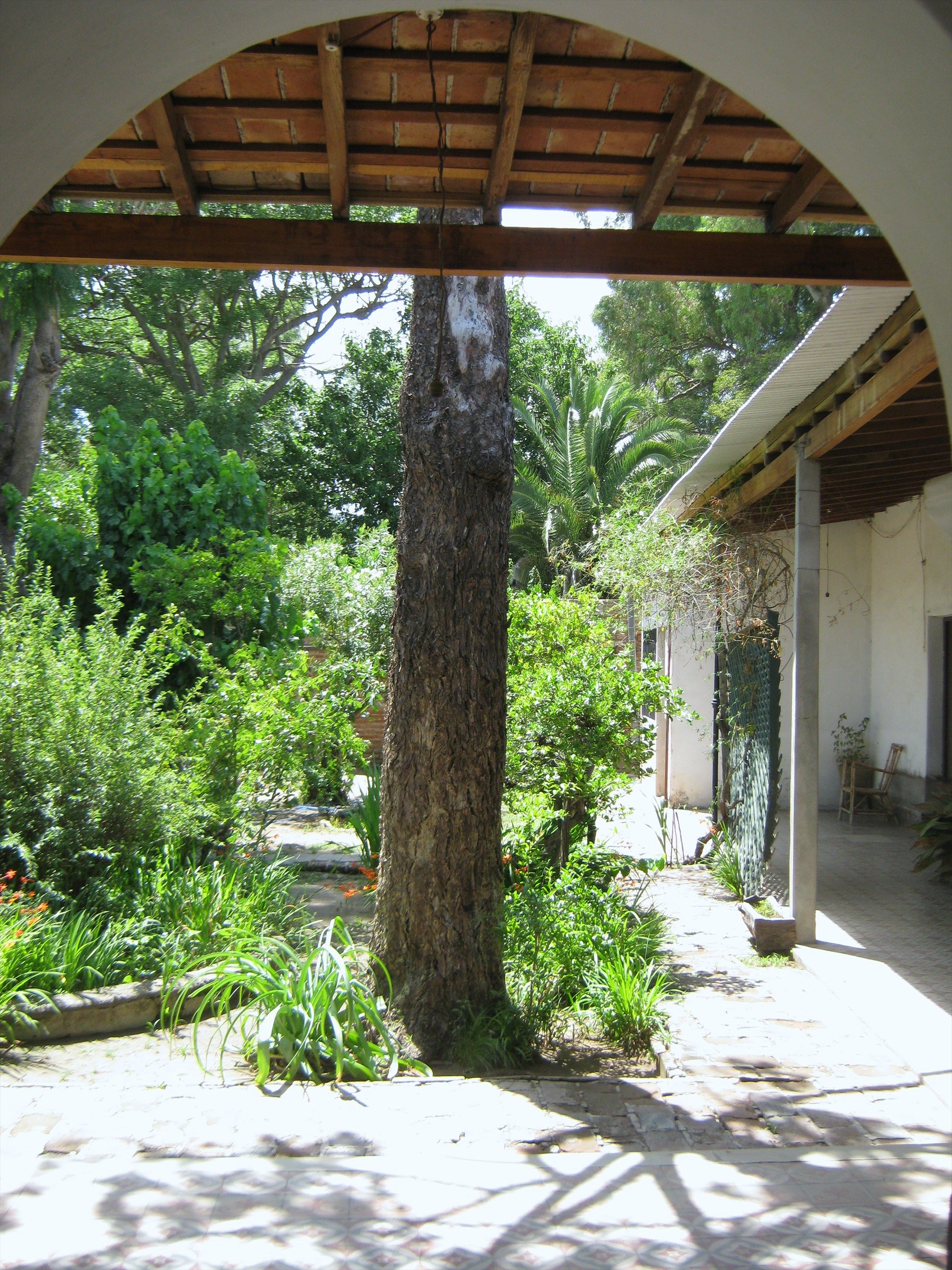 Museo Rosenda Quiroga · 3
