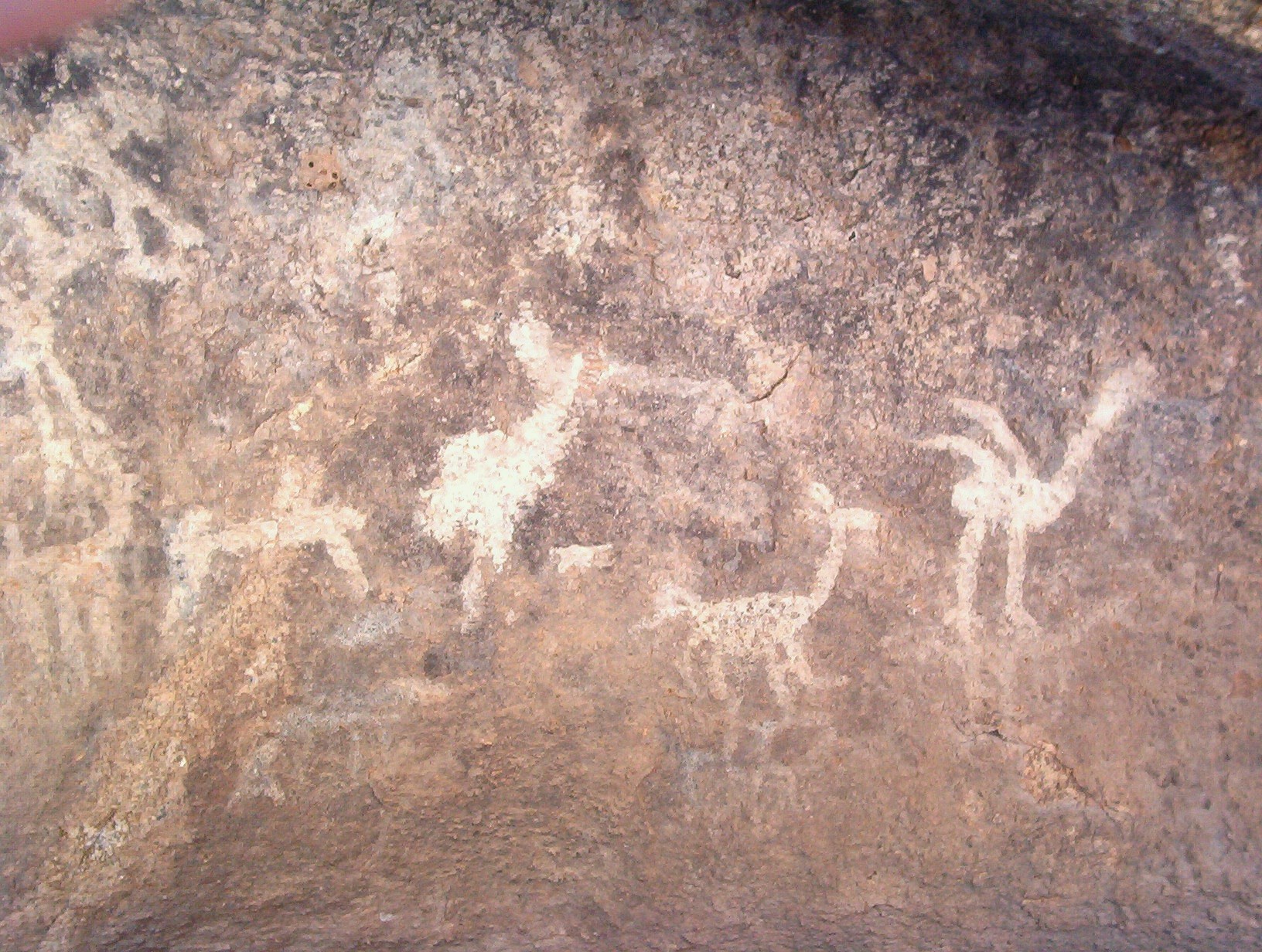 Pinturas rupestres · fotografía 2