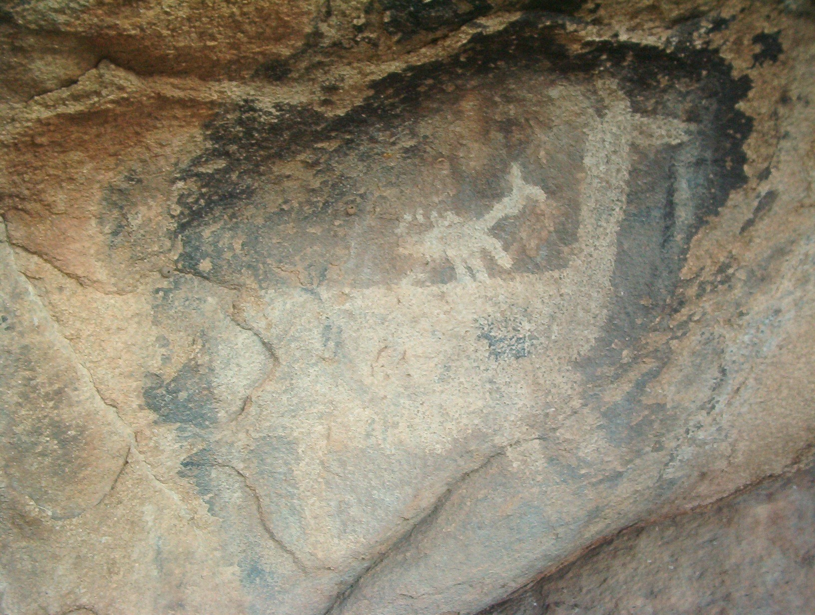 Pinturas rupestres · fotografía 5
