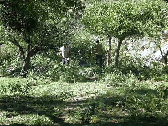 Quebrada De Lopez Renovada · 6