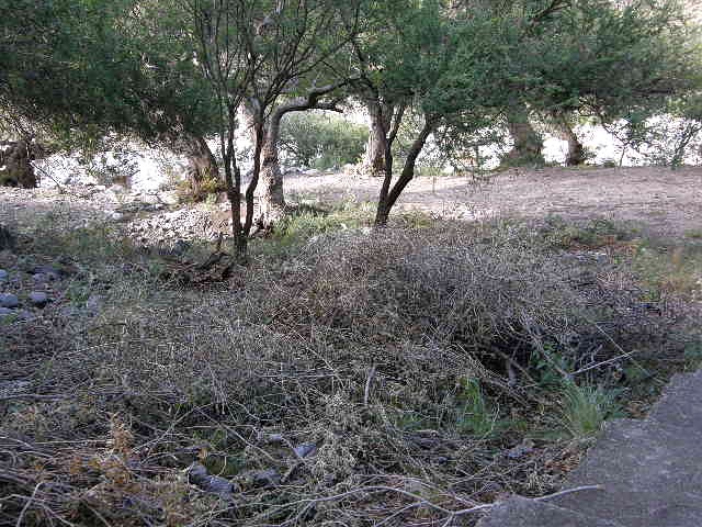 Quebrada De Lopez Renovada · 14