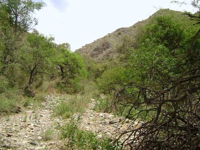 Quebrada de los Bueyes