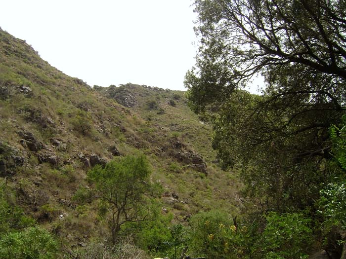 Quebrada de los Bueyes · 3