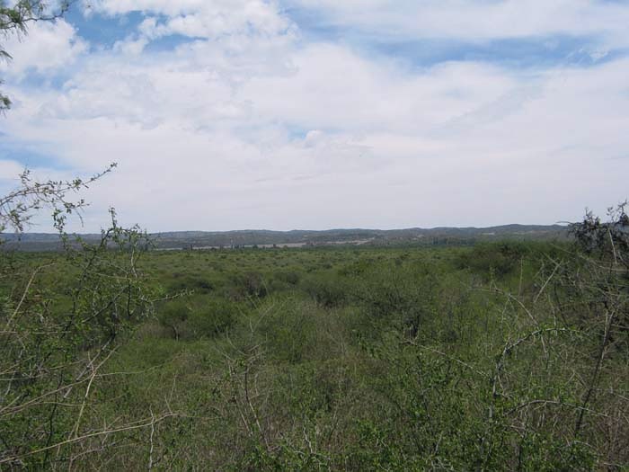 Quebrada de los Bueyes · 4