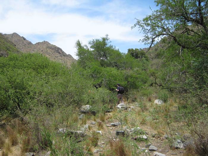Quebrada de los Bueyes · 14