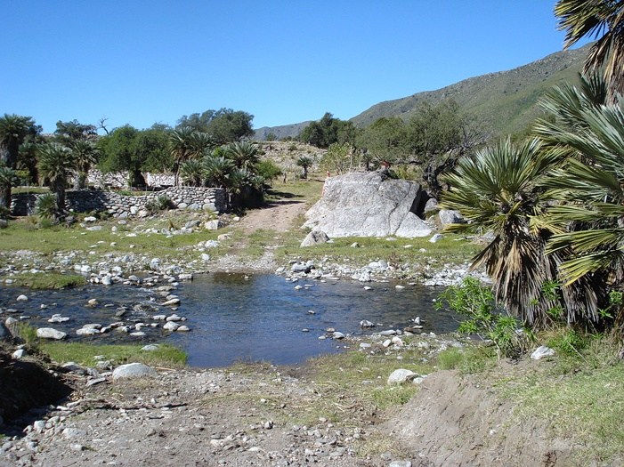 Río y palmares en Rodeo de Cadenas