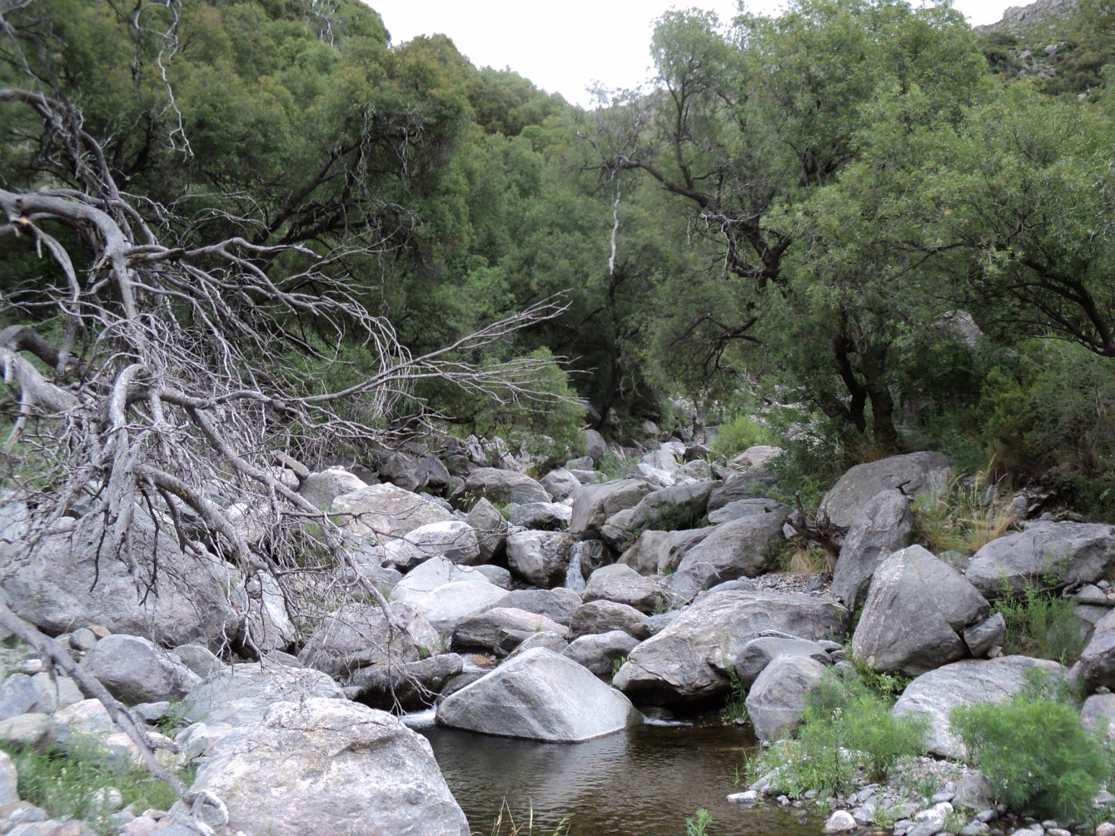 Trekking