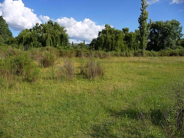 Dos terrenos de 1.000 m² · San Francisco del Monte de Oro