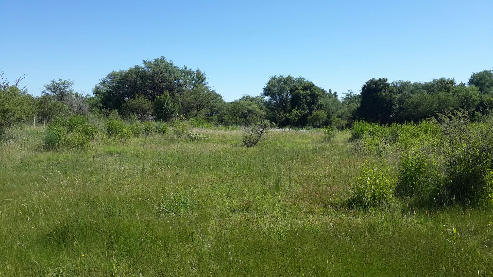 Dos terrenos de 1.000 m² · fotografía 5