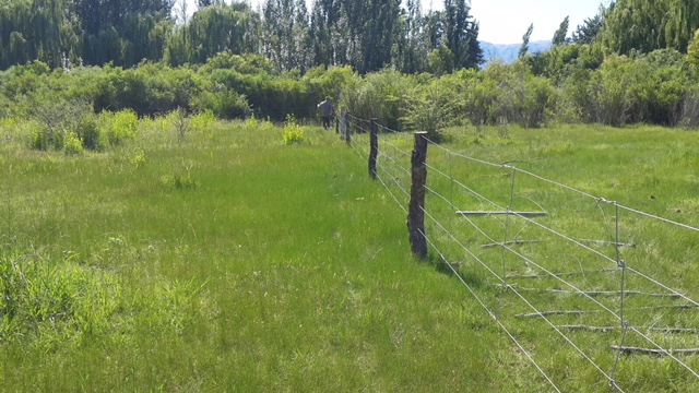 Dos terrenos de 1.000 m² · fotografía 9