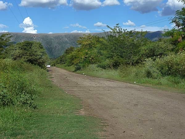 Dos terrenos de 1.000 m² · fotografía 10
